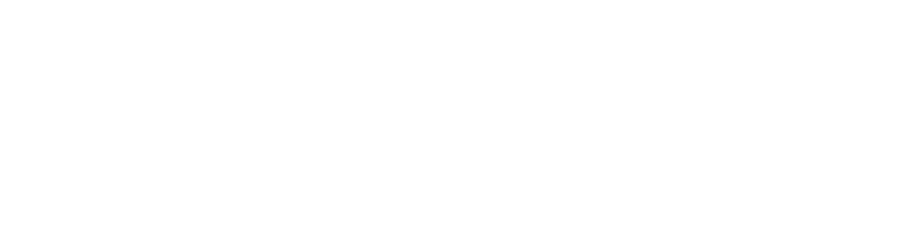 NEW Solutions IT_Logo_White